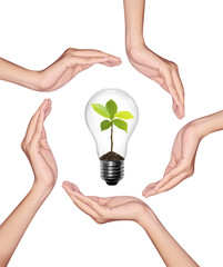 Bulb light in woman hand