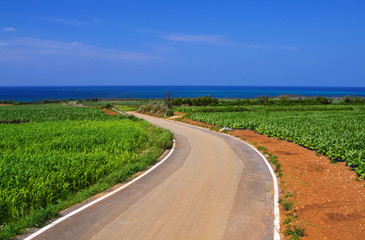 海へ続く道