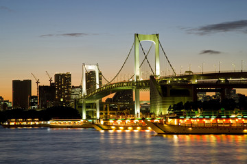 Fototapeta premium 東京夜景