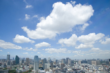 Fototapeta na wymiar Tokio outlook