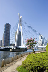 夏の隅田川沿い