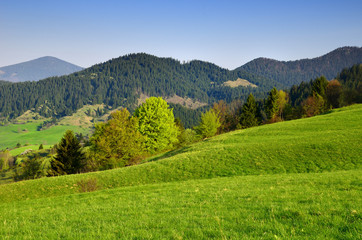 Fototapeta na wymiar Liptovska Luzna - Spring landscape under the Low Tatras