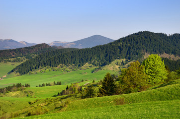 Fototapeta na wymiar Liptovska Luzna - Spring landscape under the Low Tatras