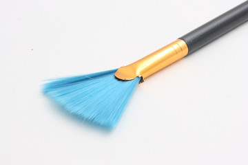 Blue brush