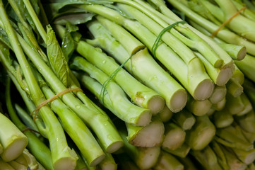 Chinese Kale