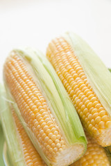 Fresh corn