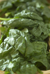 spinaci
