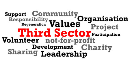 Third Sector Word Map