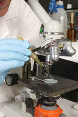 laboratory