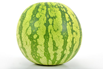 Pastèque ou Melon d'eau (citrullus lanatus)