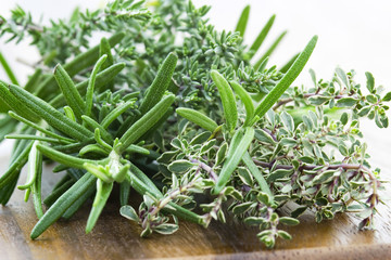Fototapeta premium thyme and rosemary - fresh garden herbs