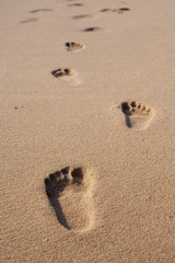 Fototapeta na wymiar Ślady na piasku na plaży