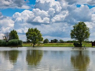 lake background