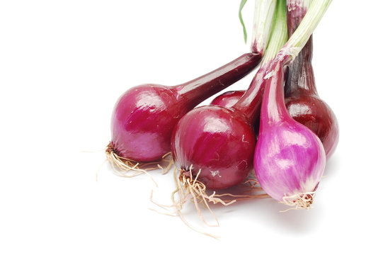 red onion