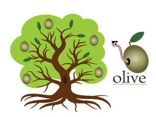 Olive tree,vector.