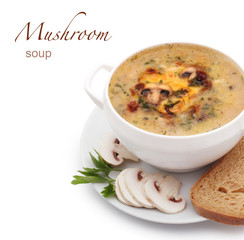 mushroom soup