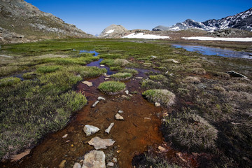 torbiera nel parco del mont avic