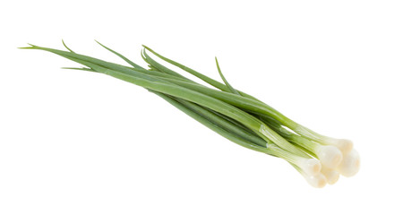 Green onions.