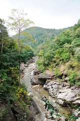 Fototapeta na wymiar Streams flowing through the valley