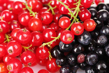 beautiful red currant and blueberry