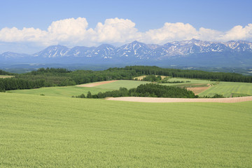 Fototapeta na wymiar 山並みと田園風景