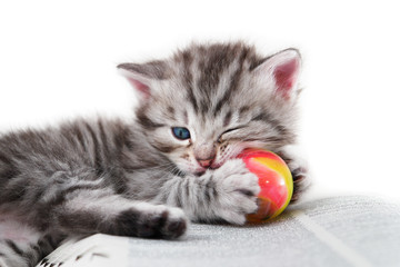 Fototapeta premium Kitten plays with a ball on a book - isolated on white