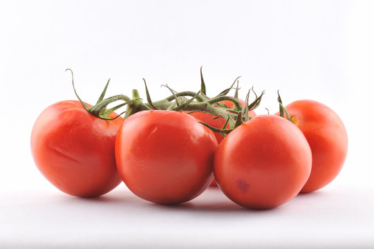Tomatos