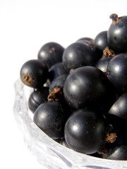 Fototapeta na wymiar blackcurrant - black sweet berries on white
