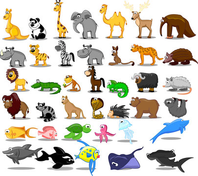 Большой набор животных, включая льва, кенгуру, жирафов,