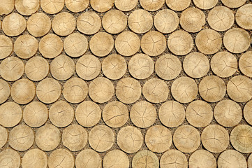 Holzboden 1