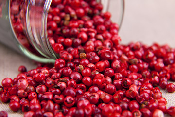 Rote Beeren Pfeffer