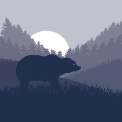 Animated brown bear in wild night forest foliage illustration