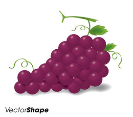 Realistic red grapes vector illustration