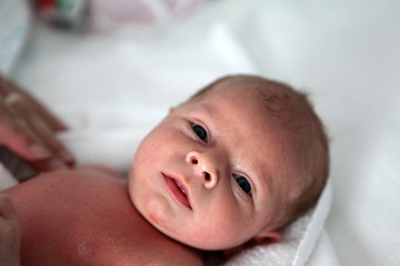 Newborn baby