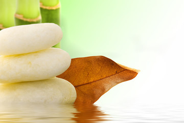 reflection of the stones and bamboo on the water