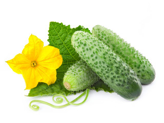 Cucumber isolated over white background