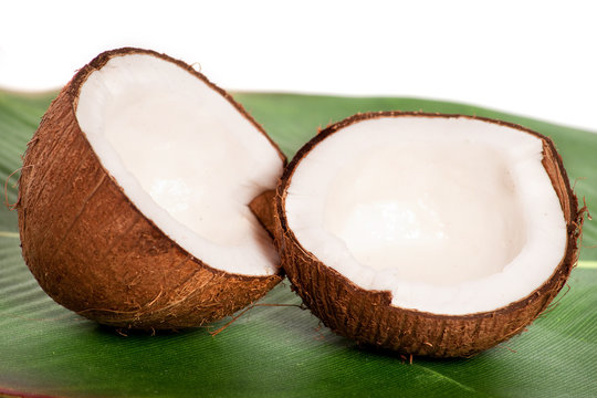 noix de coco app&eacute;tissante