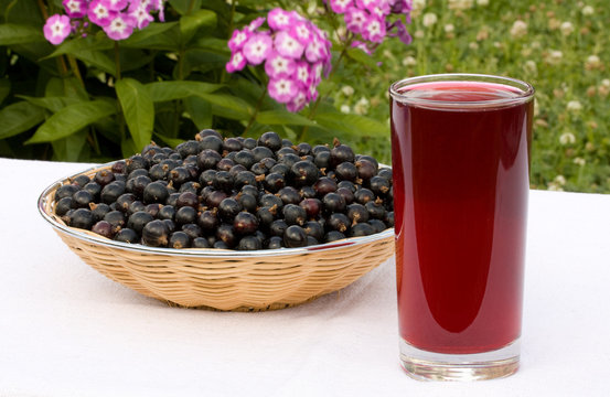 black currant and juice