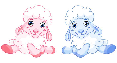 Baby sheep
