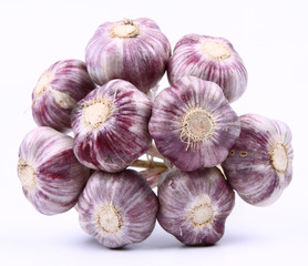 Bunch of garlic on a white background
