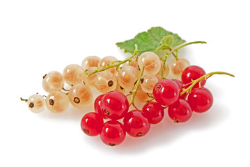 Johannisbeeren