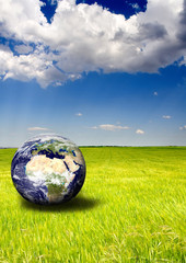 Mundo ecológico