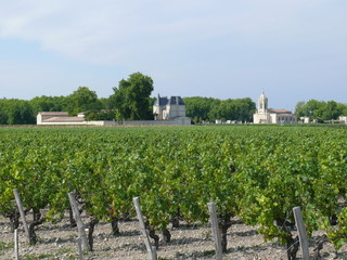 domaine viticole 3