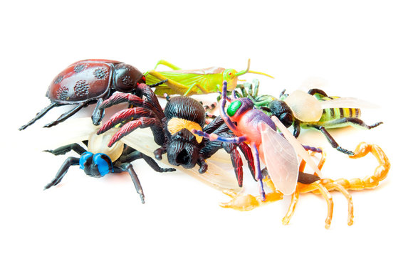 Toy Insects Lot