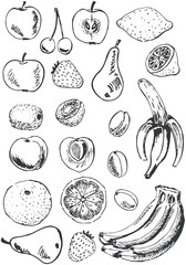 Fruit set doodles