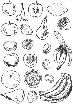 Fruit set doodles