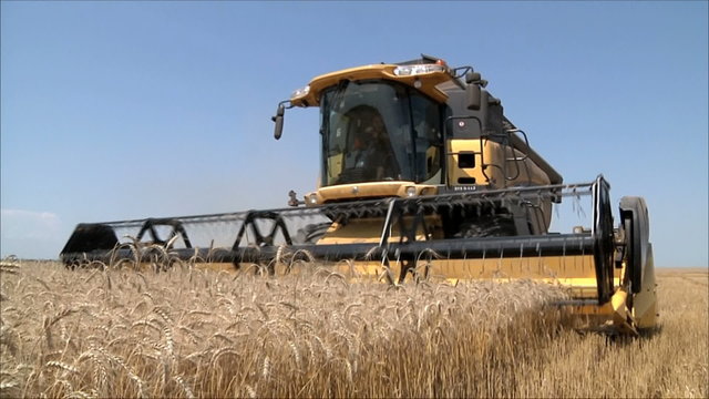 сбор урожая комбайном