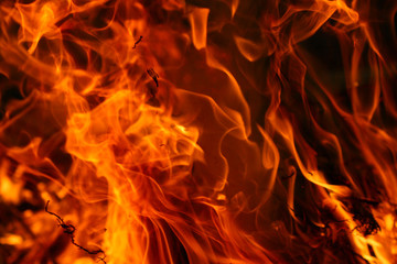 Fototapeta premium Fire