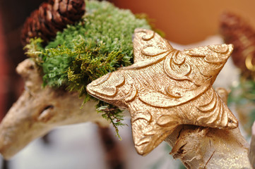 Weihnachtsstern