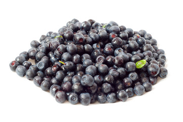 Blueberries